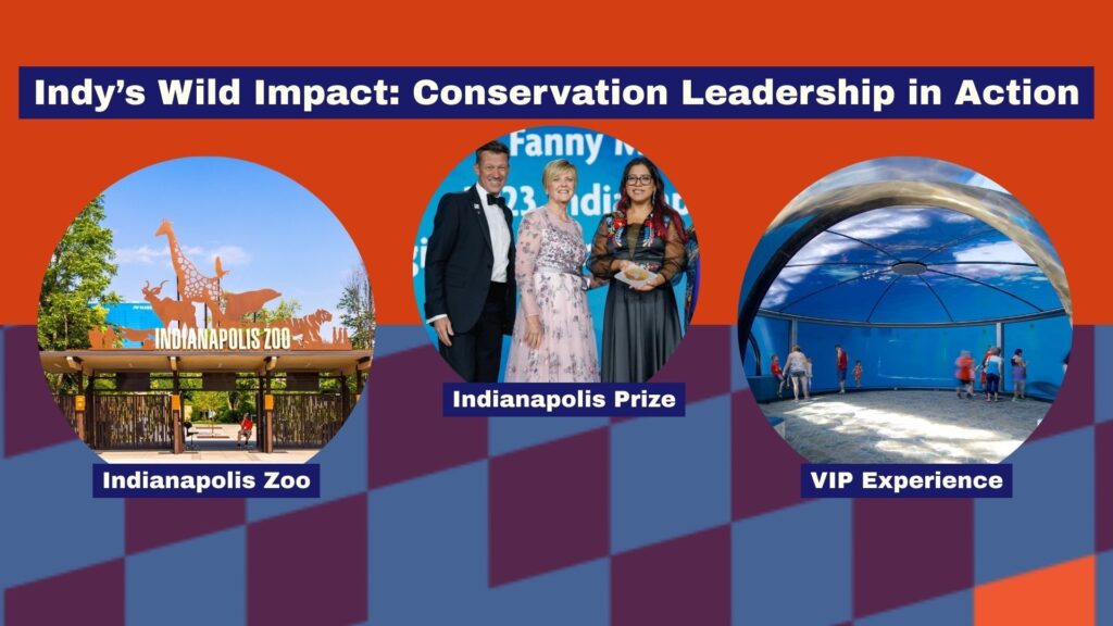 Indy's WIld Impact: Conservation Leadership in Action